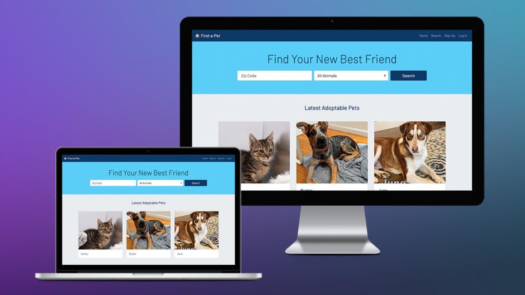 Find a Pet home page